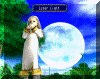 Fina_lunarlight.gif (135367 bytes)